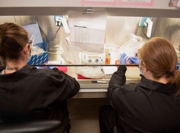 Γερμανία : Το φθινόπωρο 10