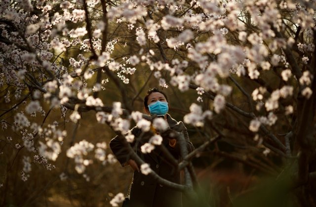 Κίνα – κοροναϊός : Ανησυχία για νέο κύμα εξάπλωσης της πανδημίας