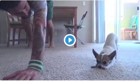 Σκύλος σε καραντίνα που κάνει γιόγκα με το αφεντικό του έγινε Viral