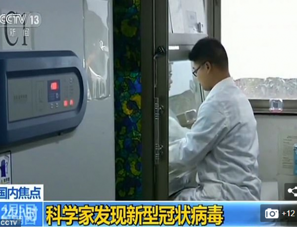 Κοροναϊός: Επιστήμονες στην Κίνα ερευνούσαν «ιό από νυχτερίδες» το 2018