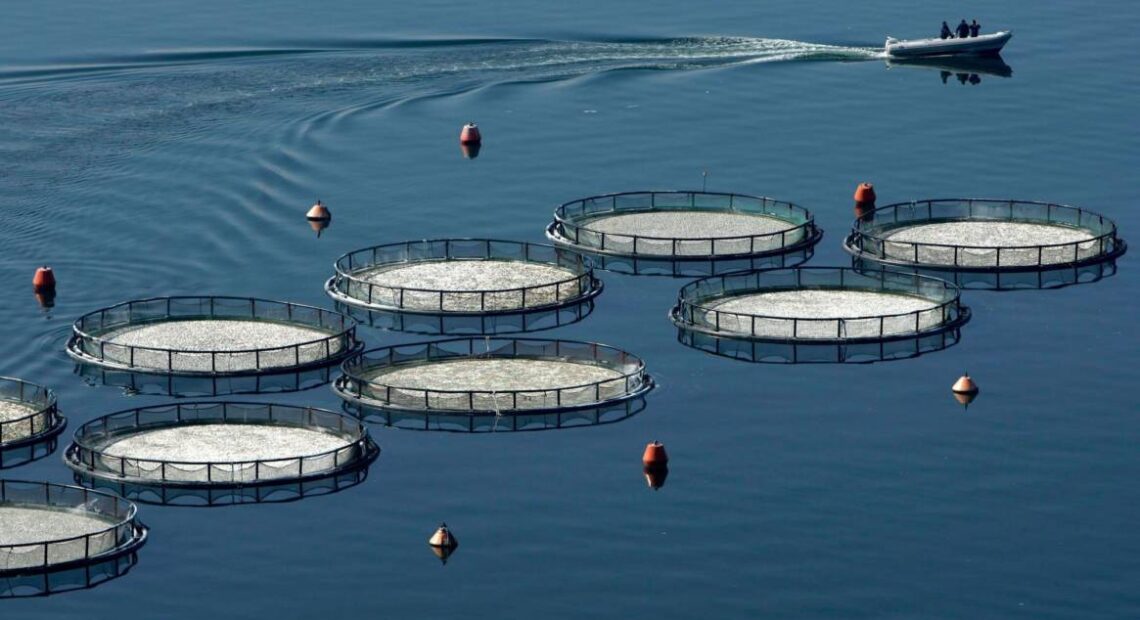 Philosofish: Ολοκληρώθηκε η εξαγορά μονάδων των Νηρέα και Σελόντα