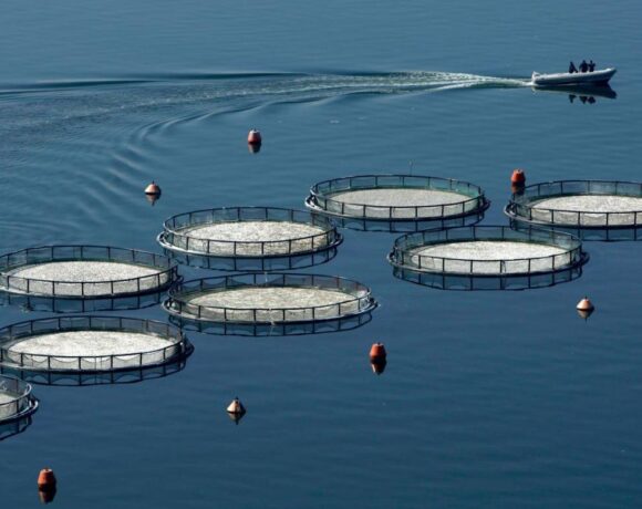 Philosofish: Ολοκληρώθηκε η εξαγορά μονάδων των Νηρέα και Σελόντα