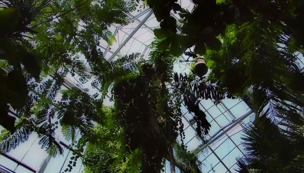 «anthropocene On Hold»: Διαδικτυακή έκθεση για την πανδημία και το περιβάλλον