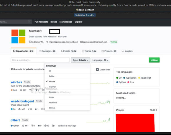 Hacker έκλεψε κώδικα της Microsoft μεγέθους 63