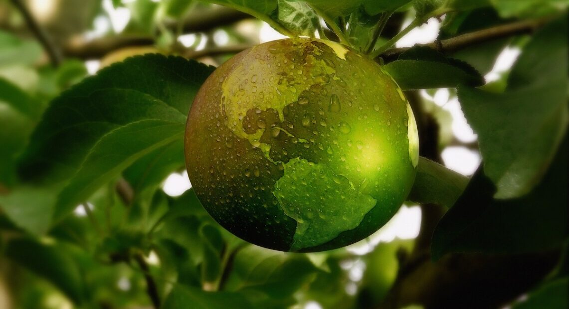 Greece Goes Green With Incentives For Eco Friendly Practices