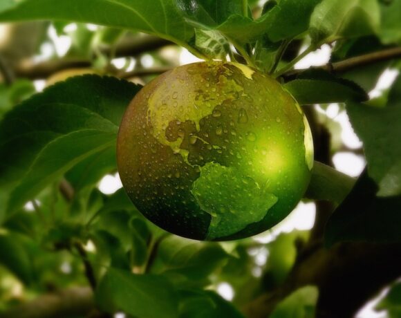 Greece Goes Green With Incentives For Eco Friendly Practices