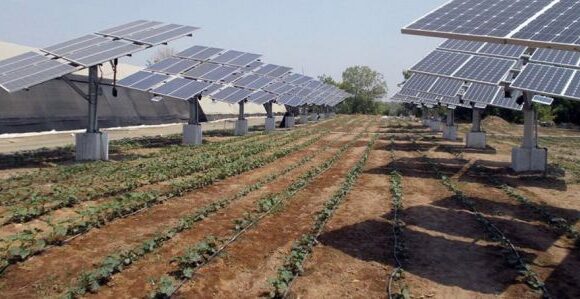 Αγροτική Γη: Η βαριά μετοχή του Real Estate ακόμη και στην εποχή του κορωνοϊού