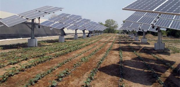 Αγροτική Γη: Η βαριά μετοχή του Real Estate ακόμη και στην εποχή του κορωνοϊού