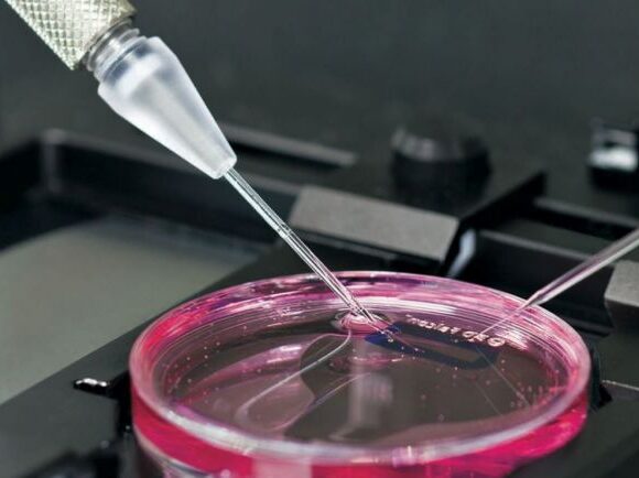 ΗΠΑ : Ανέπτυξαν υποσχόμενη θεραπεία αντισωμάτων ενώ βρίσκονταν στη δίνη του κοροναϊού