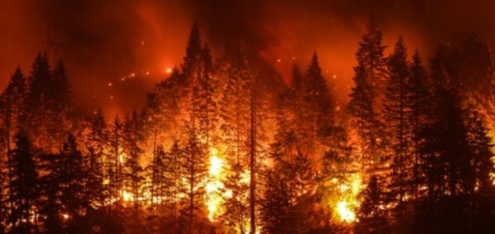 Συναγερμός : 75 πυρκαγιές ξεσπούν καθημερινά στο δάσος του Αμαζονίου