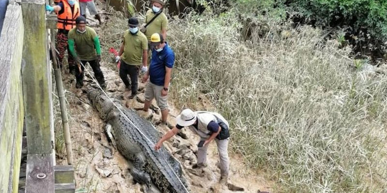 Μαλαισία : Βρήκαν τα λείψανα 14χρονου στο στομάχι κροκόδειλου