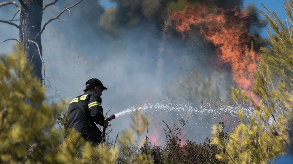 Φωτιά στα Καλύβια κοντά σε σπίτια – Εκκενώθηκαν οικισμοί