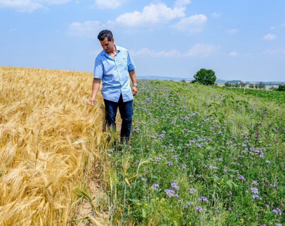 Bayer: Συμβάλλει στη μεταμόρφωση της βιομηχανίας τροφίμων μέσω της ενσωμάτωσης της καινοτομίας στη γεωργία