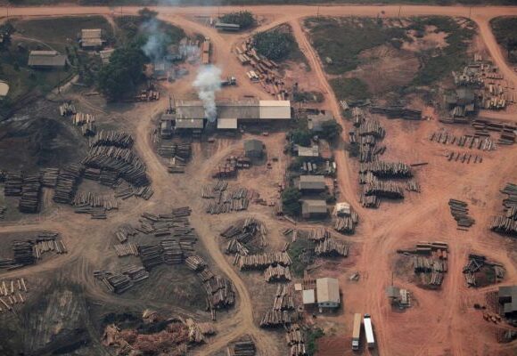 Αγωνία για τον Αμαζόνιο: Κινδυνεύει να μετατραπεί σε λιβάδι