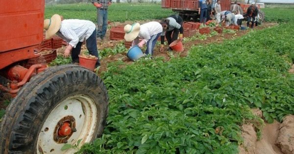 Πιστώνεται σήμερα το 70% της βασικής ενίσχυσης σε 540