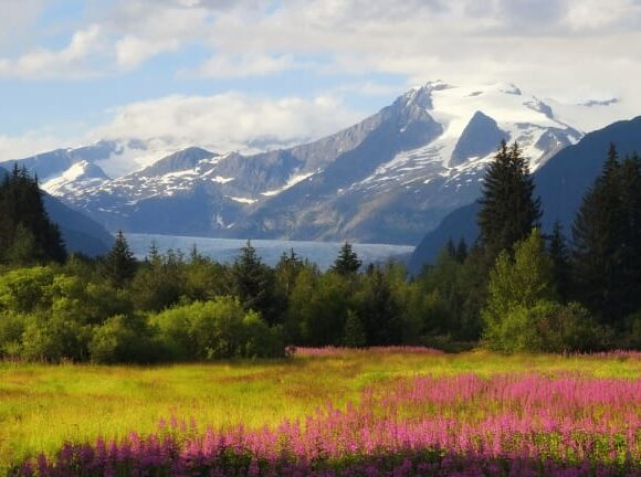 ΗΠΑ: «Πράσινο» για γεωτρήσεις σε προστατευόμενη περιοχή στην Αλάσκα