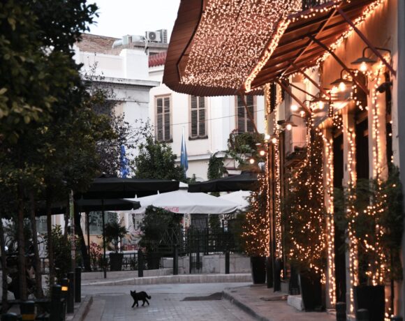 Σύψας: Να μην αρθεί το Lockdown πριν τις 21 Δεκεμβρίου – Μέτρα μέχρι την Άνοιξη