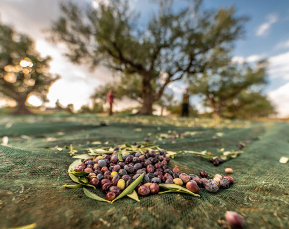 Greece Assumes Presidency Of Mediterranean Diet Network For 2021