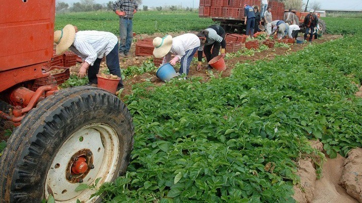 ΟΠΕΚΕΠΕ: Πιστώνεται η δεύτερη δόση της βασικής ενίσχυσης των αγροτών