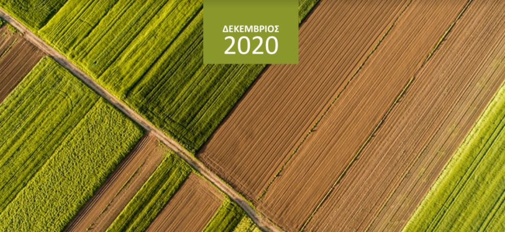 Τράπεζα Πειραιώς: Αύξηση 1,17% κατέγραψε ο δείκτης τιμών αγροτικών προϊόντων