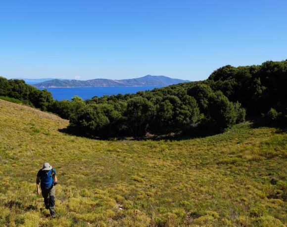 Skiathos Municipality to Launch Redesigned Trail Network, New App in 2021
