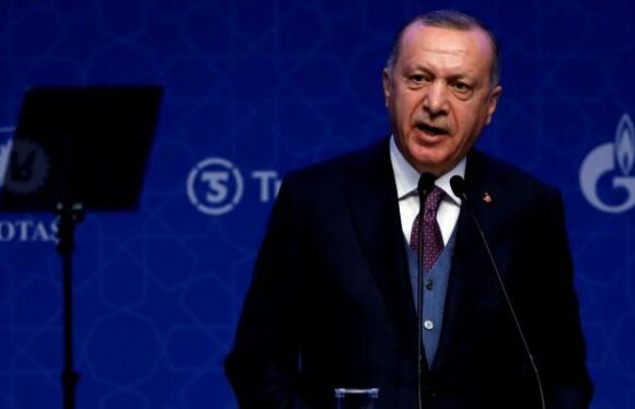 Τουρκία : Υπέρ της αναθεώρησης του Συντάγματος τάσσεται ο Ερντογάν