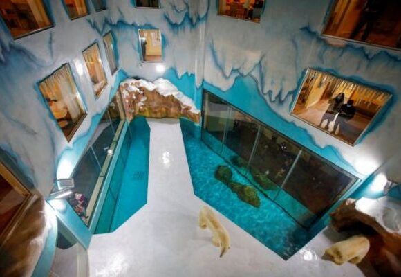 Πλέον μπορείτε να μείνετε σε ένα ξενοδοχείο με… πολικές αρκούδες – Αλλά μάλλον δεν θα έπρεπε να το κάνετε