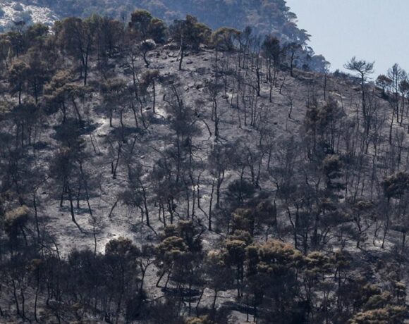 Φωτιά στον Σχίνο: Για βελτιωμένη εικόνα μιλά η Πυροσβεστική – Παραμένουν οι διάσπαρτες εστίες