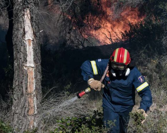 Υπό πλήρη έλεγχο η πυρκαγιά στην Κεφαλονιά – Χωρίς ενεργό μέτωπο