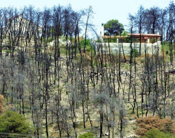 Εκτιμήσεις για πάνω από 270