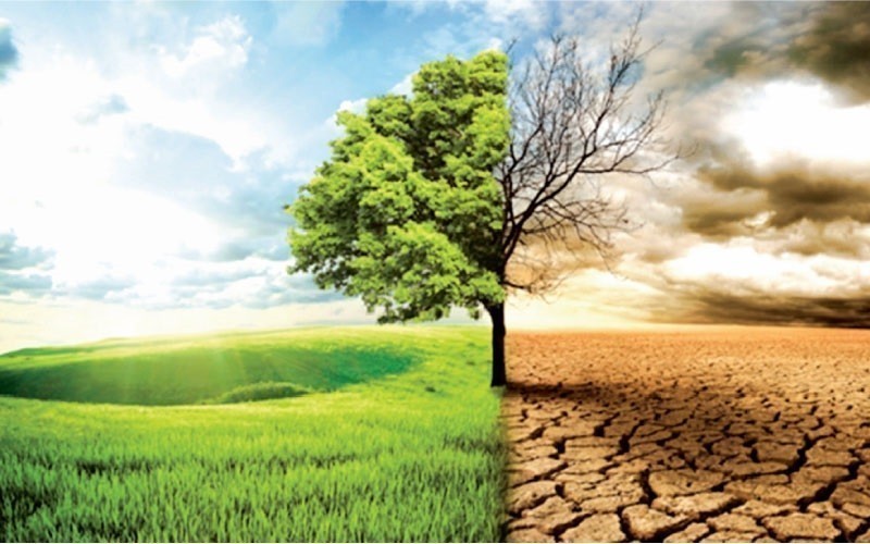 Κλιματική αλλαγή: Πόσο έτοιμη είναι η (ισχυρή) γερμανική οικονομία