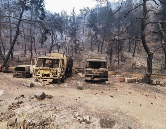 Πέτσας: Από τις 18 Αυγούστου ανοίγει η πλατφόρμα για αποζημιώσεις στους πυρόπληκτους