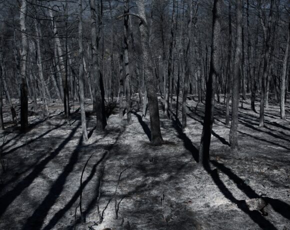 Πυρκαγιές: Τα αυξημένα μικροσωματίδια αυξάνουν την πιθανότητα κρουσμάτων σοβαρής Covid 19