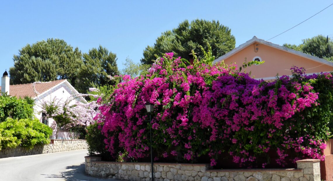«Υιοθεσία» των πυρόπληκτων χωριών, για την ανάπλαση και μετατροπή τους σε νέα «Κουρκουμελάτα»