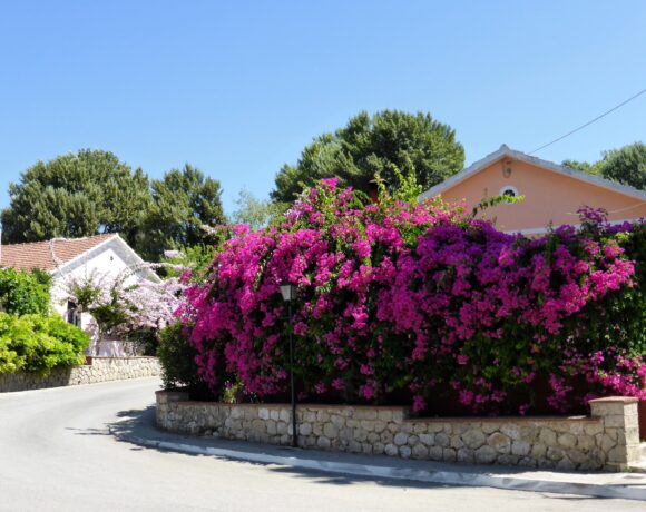 «Υιοθεσία» των πυρόπληκτων χωριών, για την ανάπλαση και μετατροπή τους σε νέα «Κουρκουμελάτα»