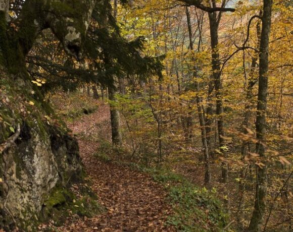 Greece Revises Mount Olympus National Park Regulation