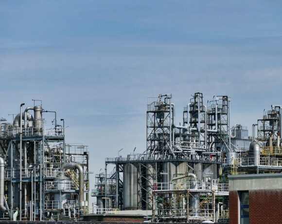 ΕΕ: Μειώθηκε κατά 62% η παραγωγή μαζούτ την τελευταία εικοσαετία