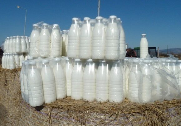 Ποια είναι η «τροφή του μέλλοντος» που παρασκευάζεται στην Ελλάδα