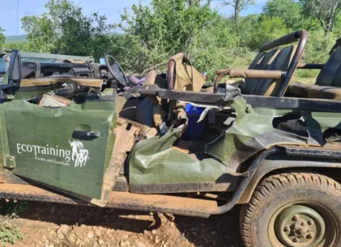 Εξαγριωμένος ελέφαντας επιτέθηκε σε τζιπ γεμάτο τουρίστες – Σκηνές πανικού στη ζούγκλα