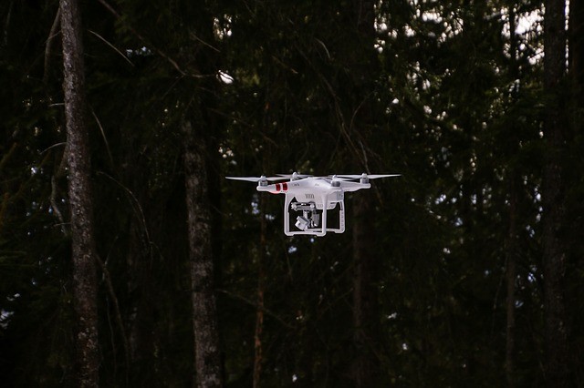 Κροατία: Αναδάσωση με Drones σε περιοχές που επλήγησαν από φωτιές