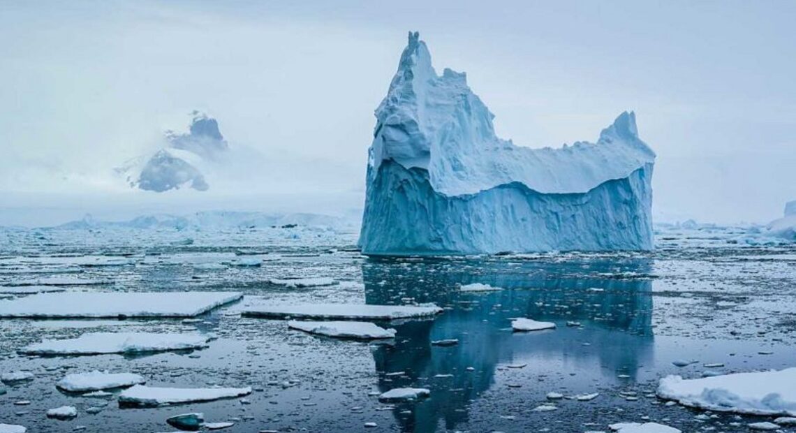 Έρευνα: Ποια θαλάσσια είδη απειλούν το οικοσύστημα στην Ανταρκτική