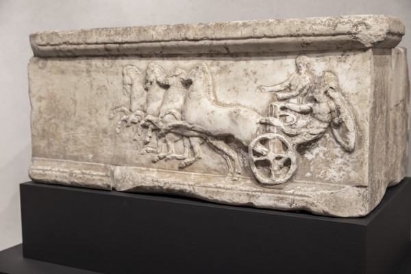 «Ίππος: Το άλογο στην Αρχαία Αθήνα» – Σπουδαία έκθεση τέχνης και επιστήμης στην Αμερικανική Σχολή Κλασικών Σπουδών