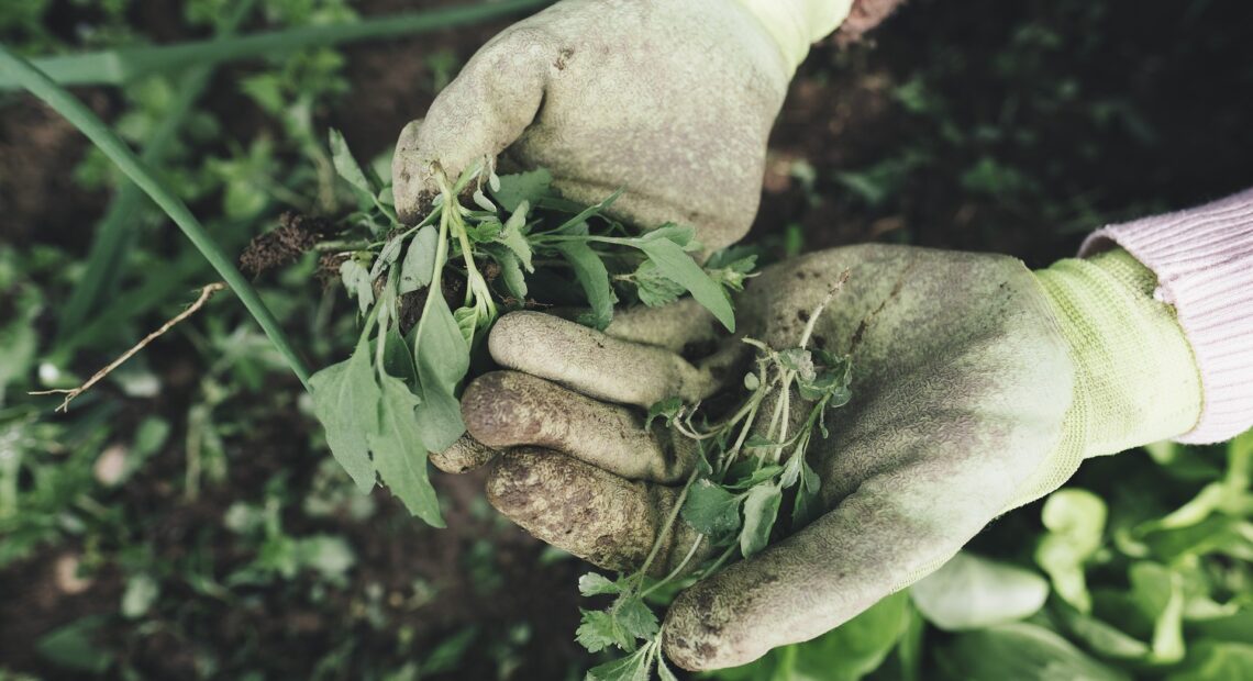 Αγρότες: Δάνεια έως 25