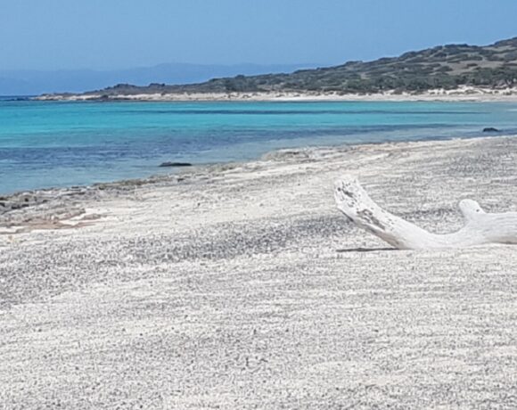 Local Committee Calls For Protection Of Crete’s Chryssi Islet From Mass Tourism