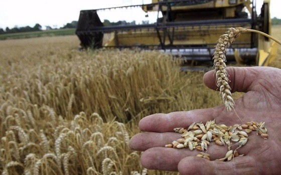 Γαλλία: Κατακόρυφη η αύξηση στην ενέργεια και τις ζωοτροφές για τους αγρότες