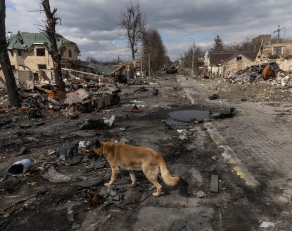 Ουκρανία: Πολλές παραβιάσεις ανθρωπίνων δικαιωμάτων στην Ουκρανία μπορεί να συνιστούν εγκλήματα πολέμου, λέει ο ΟΗΕ