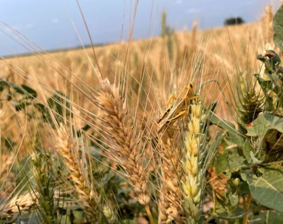 Πόλεμος στην Ουκρανία: Tο Κίεβο κατηγορεί τους Ρώσους ότι τους άρπαξαν 400