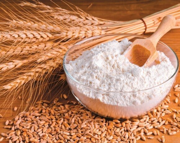 Συμφωνία Πούτιν – Μακρόν – Σολτς για εξαγωγές σιτηρών από την Ουκρανία