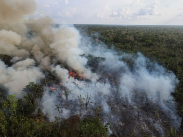 Αμαζόνιος: Παγκόσμια ανησυχία για τον ασυνήθιστα μεγάλο αριθμό πυρκαγιών