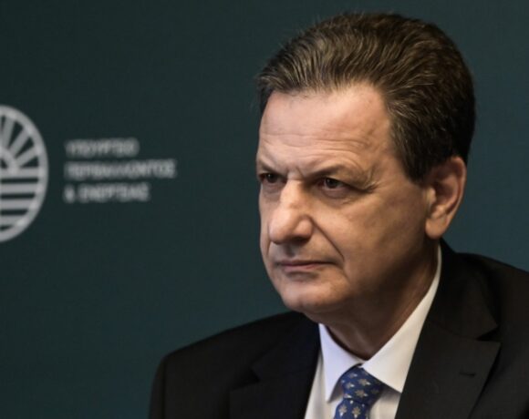 Σκυλακάκης: Ποιοι θα ελέγχουν 212